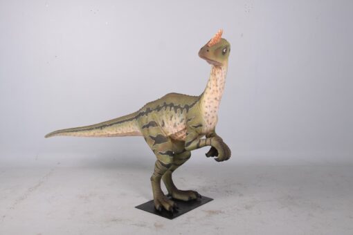 DILONG PARADOXUS JR 160273 - Image 3