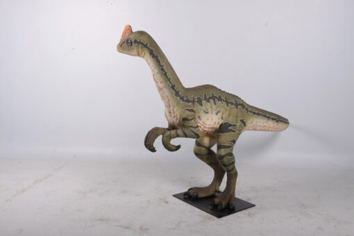 DILONG PARADOXUS JR 160273 - Image 4
