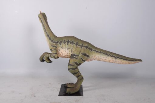 DILONG PARADOXUS JR 160273 - Image 5