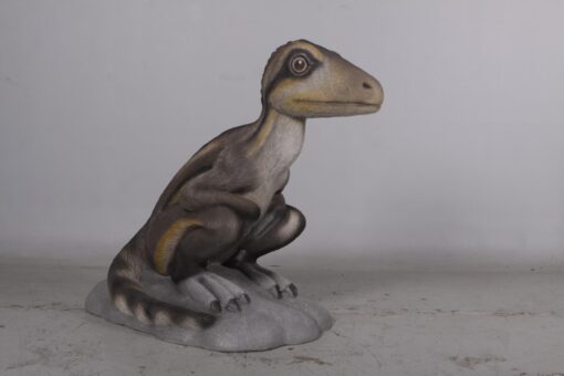 THEROPOD JUVENILE SITTING JR 170204 - Image 6