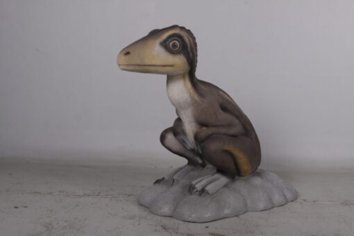 THEROPOD JUVENILE SITTING JR 170204