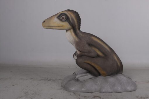 THEROPOD JUVENILE SITTING JR 170204 - Image 15