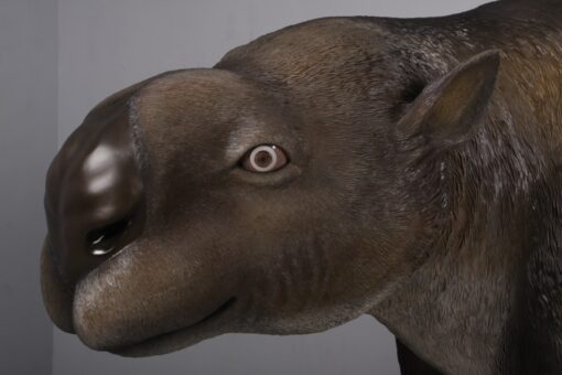 DIPROTODON JR 170220 - Image 6