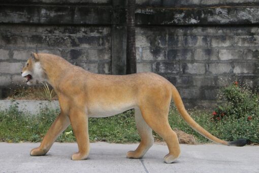 WALKING LIONESS JR 180220 - Image 9