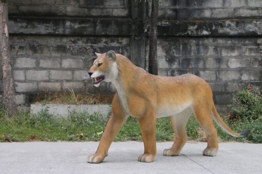 WALKING LIONESS JR 180220 - Image 8