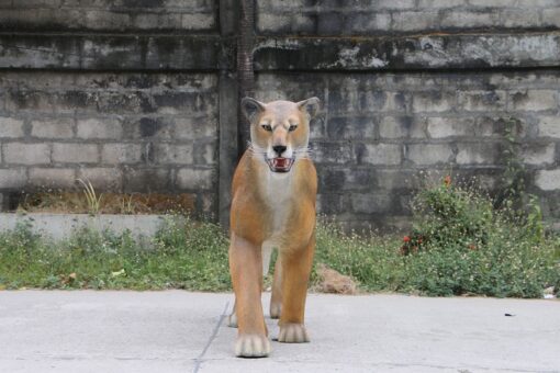 WALKING LIONESS JR 180220 - Image 6
