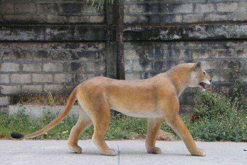 WALKING LIONESS JR 180220 - Image 3