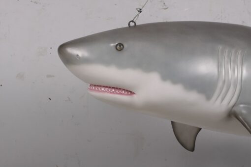 GREAT WHITE SHARK 6FT JR 190019 - Image 5