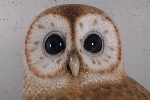 OWL JR 190022 - Image 5