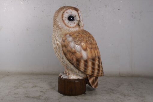 OWL JR 190022 - Image 3