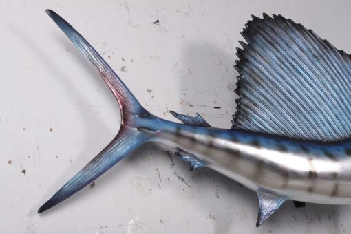SAILFISH 5FT JR 190034 - Image 4