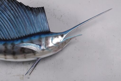 SAILFISH 5FT JR 190034 - Image 12