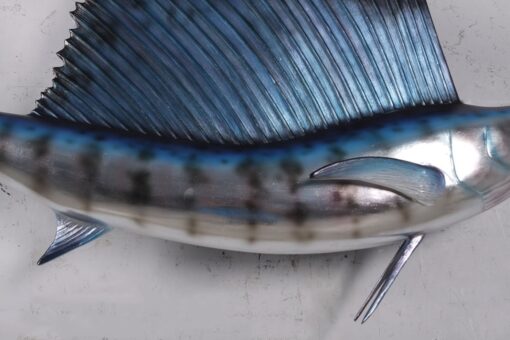 SAILFISH 5FT JR 190034 - Image 11