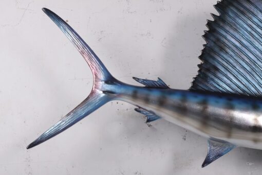 SAILFISH 5FT JR 190034 - Image 10