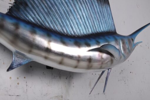 SAILFISH 5FT JR 190034 - Image 5