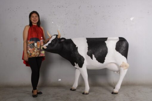 COW HEAD UP AND HORNS 3/4 SIZE FRESIAN JR 190047