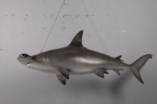 SCALLOPED HAMMERHEAD SHARK 6FT JR 190101 - Image 3