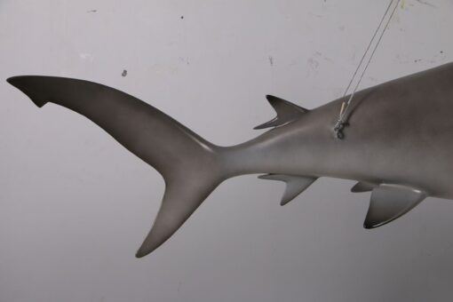 SCALLOPED HAMMERHEAD SHARK 6FT JR 190101 - Image 7
