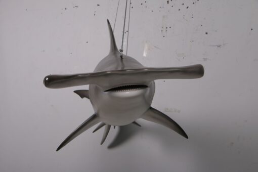 SCALLOPED HAMMERHEAD SHARK 6FT JR 190101 - Image 5