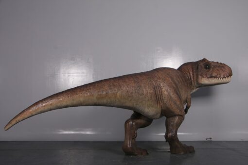 T-REX JR 190136 - Image 8