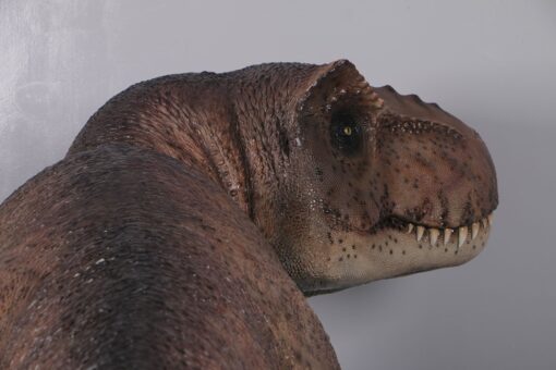 T-REX JR 190136 - Image 9