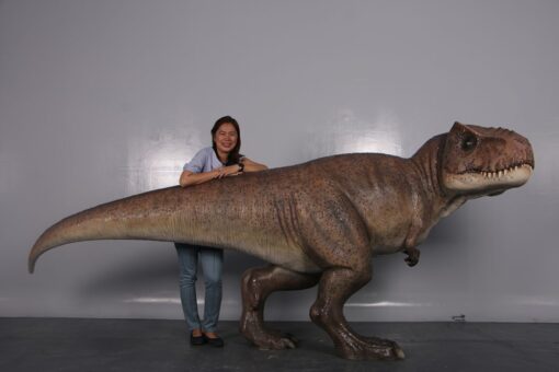 T-REX JR 190136 - Image 5
