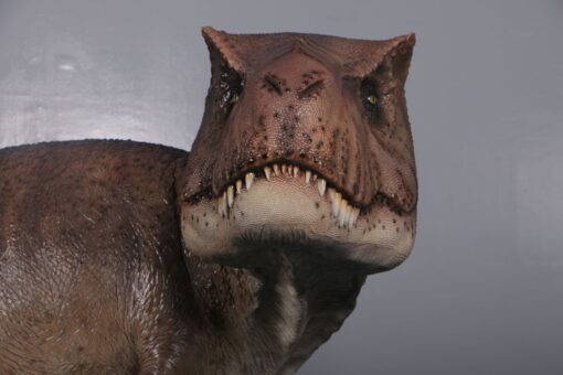 T-REX JR 190136 - Image 3