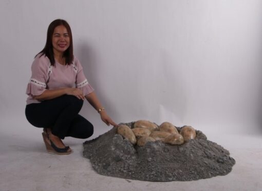 NEST WITH DINOSAUR EGGS JR 190150 - Image 3