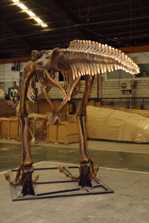 T REX SKELTEON JR 2602 - Image 3