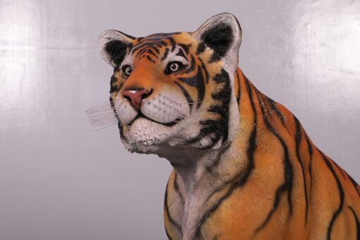 TIGER - SITTING JR 200006 - Image 9