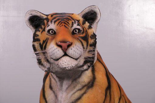 TIGER - SITTING JR 200006 - Image 7