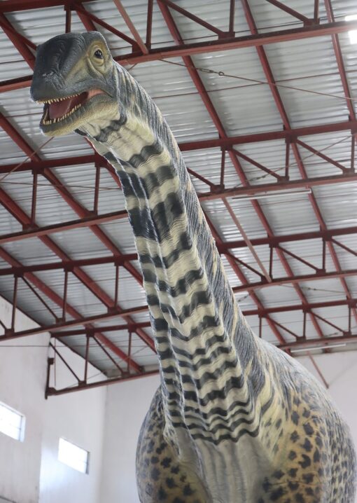 AUSTRALOTITAN JR 210199 - Image 10