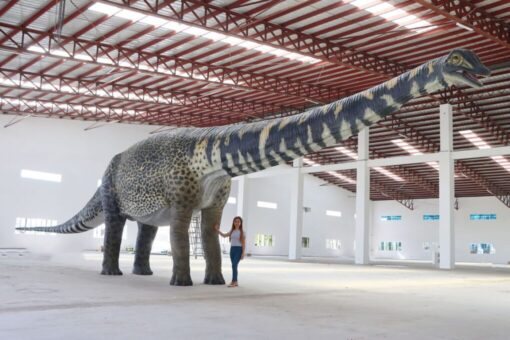 AUSTRALOTITAN JR 210199 - Image 2