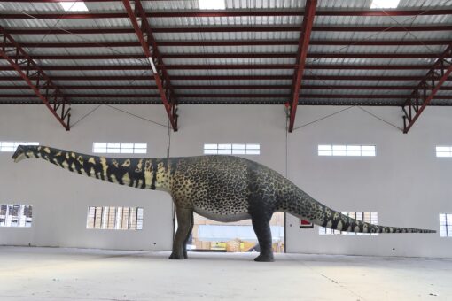AUSTRALOTITAN JR 210199 - Image 7