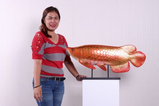 AROWANA FISH JR 220104 - Image 5