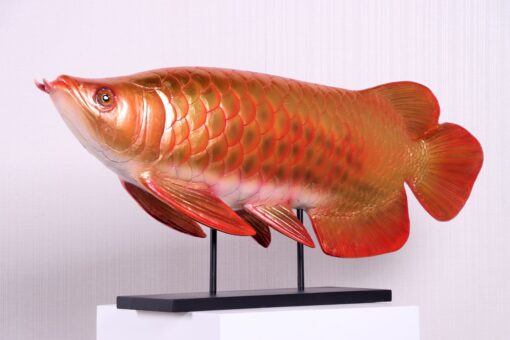 AROWANA FISH JR 220104 - Image 3