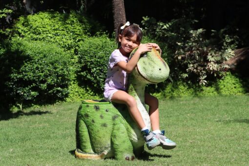DINO CHAIR GC  JR 230031 - Image 6