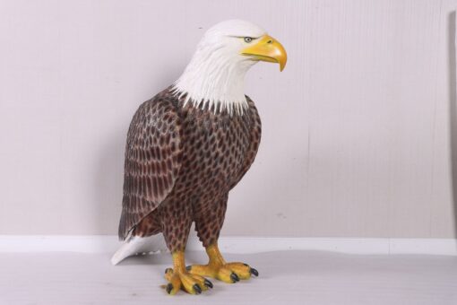AMERICAN BALD EAGLE JR 230086 - Image 4