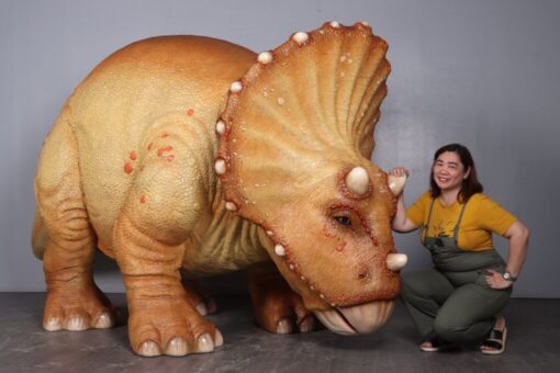 TRICERATOPS JR 230138GC - Image 2