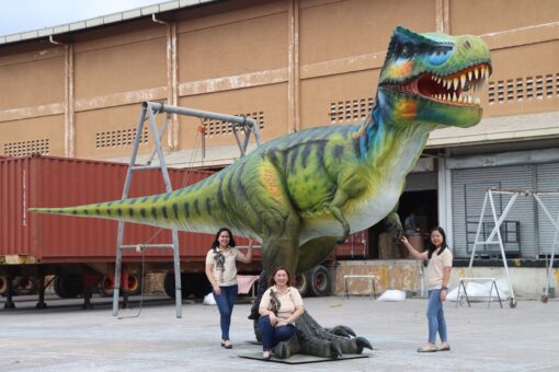 T-REX JR 230154 - Image 7