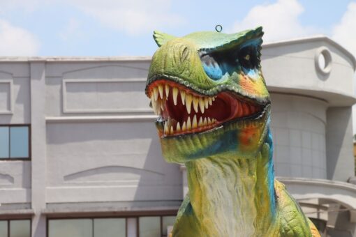 T-REX JR 230154 - Image 4