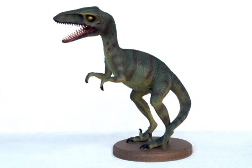 T REX JR 2425