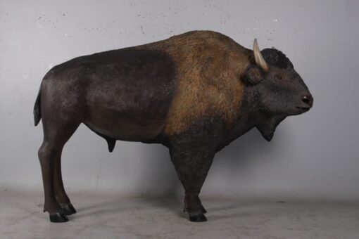AMERICAN BISON JR 170229 - Image 3