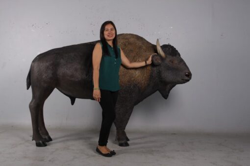 AMERICAN BISON JR 170229 - Image 4