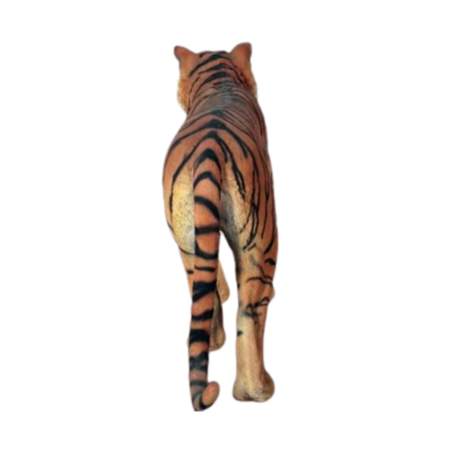 TIGER SUMATRAN JR 100078 - Image 2