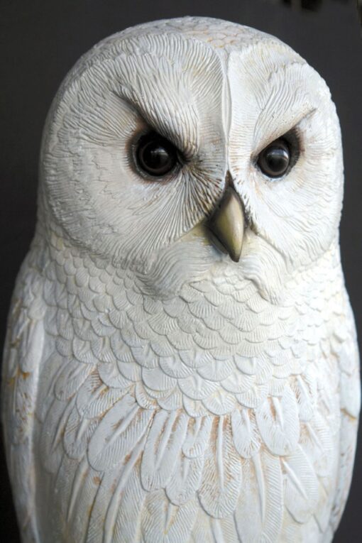 OWL ON TREE BRANCH JR 2689 - Image 3