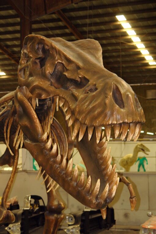 T REX SKELTEON JR 2602 - Image 5