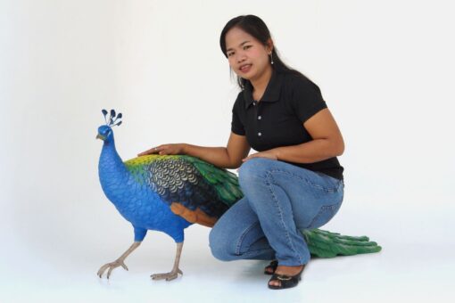 PEACOCK MALE JR 2686