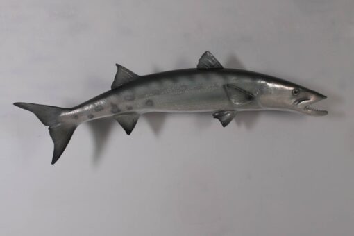 BARRACUDA JR 100077 - Image 3