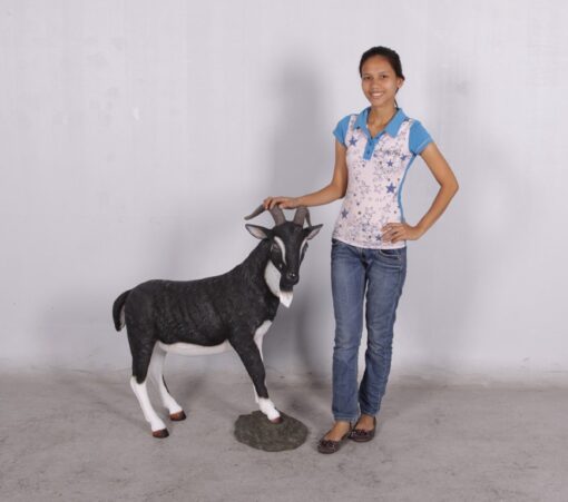 BILLY GOAT JR 130013 - Image 5